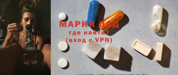PSILOCYBIN Верея