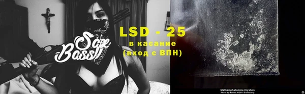 PSILOCYBIN Верея