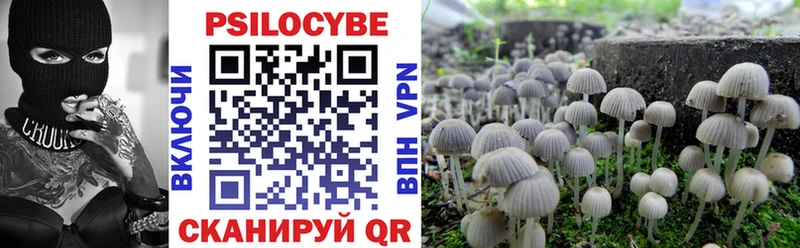 Псилоцибиновые грибы прущие грибы  hydra как войти  Лодейное Поле  где можно купить  
